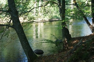 The wonderful river Drawa