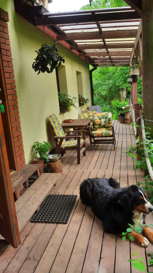 Terrace on the ground floor with a view of the Drawa river