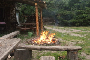 Płonie ognisko w lesie…