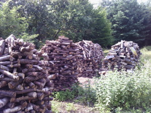 Our wood